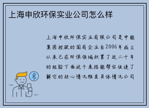 上海申欣环保实业公司怎么样